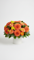 Tangerine Pop Modern Arrangement